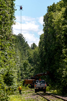 Railroad Tree Cutting, Auburn, MA 6/23/2021